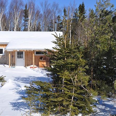 The Sleeping Moose Cottage Birch Plain Екстер'єр фото