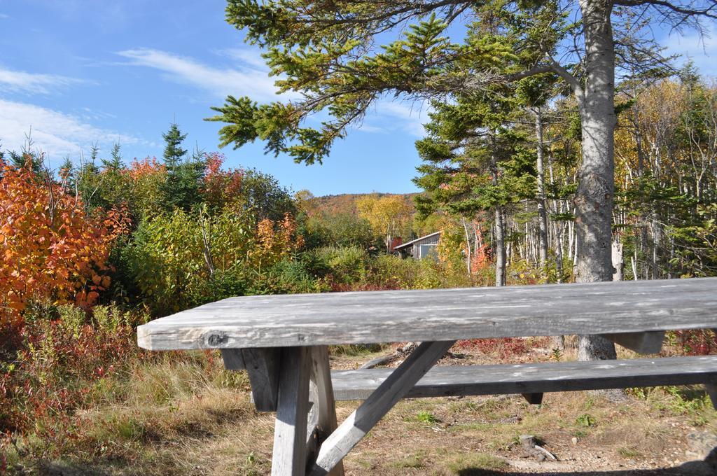 The Sleeping Moose Cottage Birch Plain Екстер'єр фото