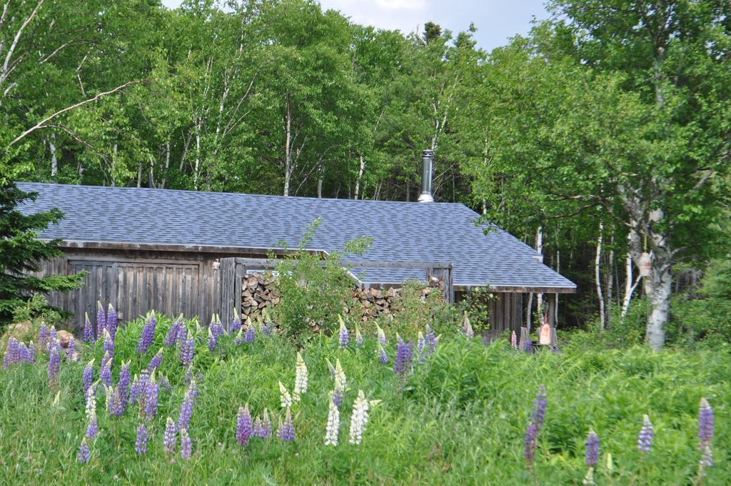 The Sleeping Moose Cottage Birch Plain Екстер'єр фото