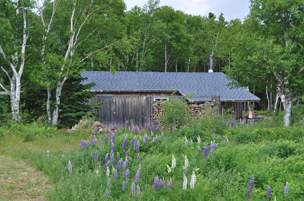The Sleeping Moose Cottage Birch Plain Екстер'єр фото