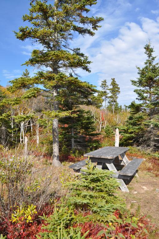 The Sleeping Moose Cottage Birch Plain Екстер'єр фото