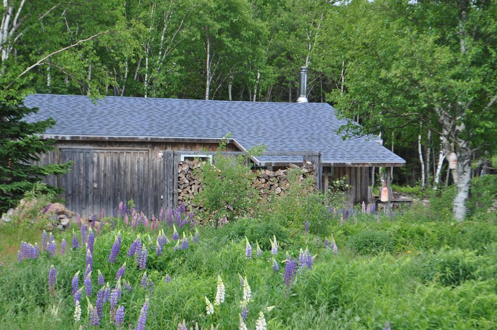 The Sleeping Moose Cottage Birch Plain Екстер'єр фото