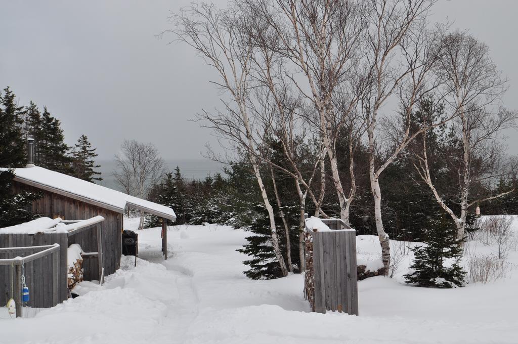 The Sleeping Moose Cottage Birch Plain Екстер'єр фото