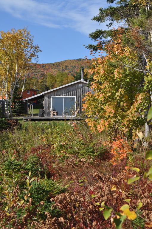 The Sleeping Moose Cottage Birch Plain Екстер'єр фото
